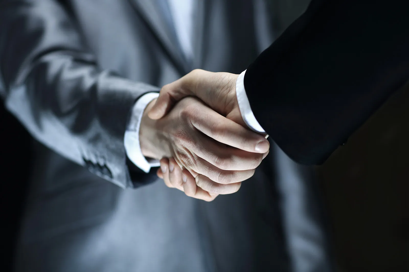 Servicios Empresariales